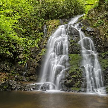 Her Majesty'S Way, Awesome Mtn Views, 1089 Free Tickets Each Paid Day, Dollywood And More ガトリンバーグ エクステリア 写真