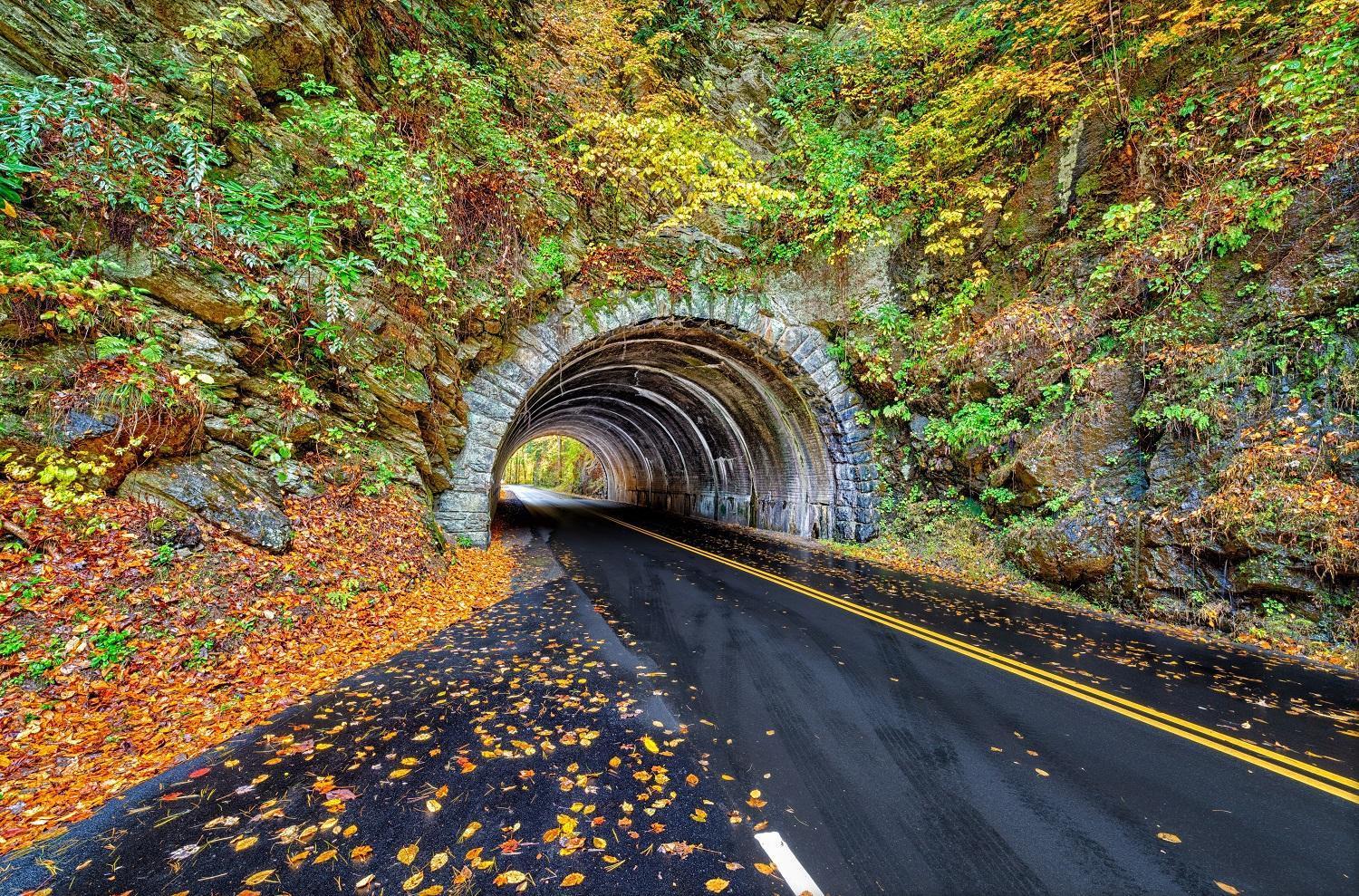 Her Majesty'S Way, Awesome Mtn Views, 1089 Free Tickets Each Paid Day, Dollywood And More ガトリンバーグ エクステリア 写真